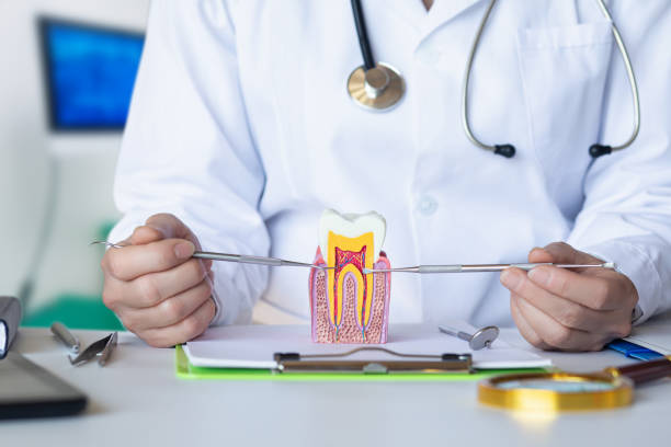 Best Emergency Denture Repair in Holdenville, OK